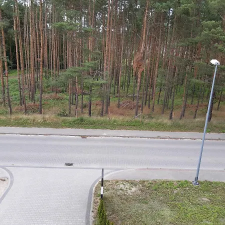 Lesna Mosty (Puck)